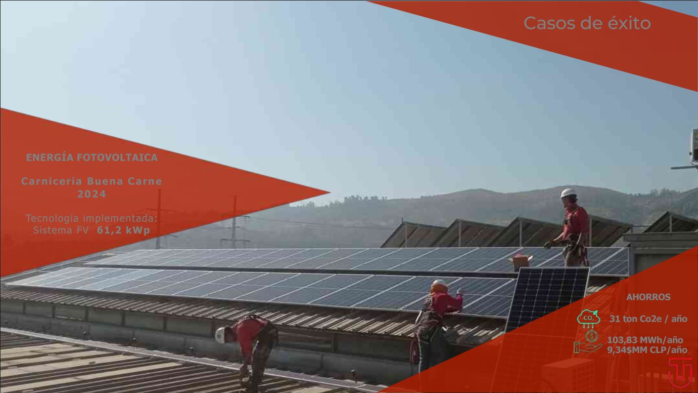 Carniceria-Buena-Carne Carniceria-Buena-Carne